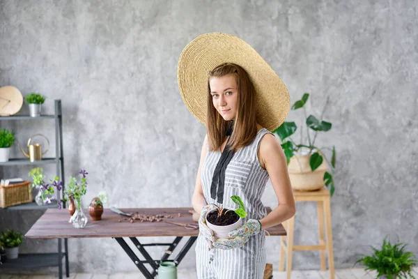 肖像画の若い女性は広いつばのわらの帽子をかぶっていた 庭師は植物を移植する ホームガーデンの概念 花と庭の店 高品質 — ストック写真