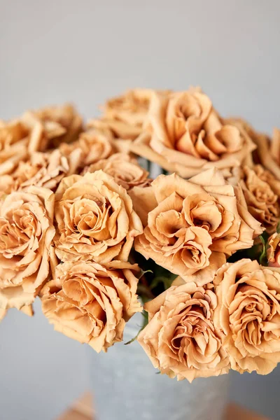Caramel Color Toffee Roses Glass Vase Beautiful Rose Flower Catalog — Stock Photo, Image
