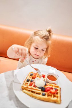 Mutlu 3 yaşındaki kızlar yemek yer. Kahvaltınız kafede. Klasik Viyana waffleları, dondurma, böğürtlen ve akçaağaç şurubu. Lokantadaki masa. Yüksek kalite fotoğraf