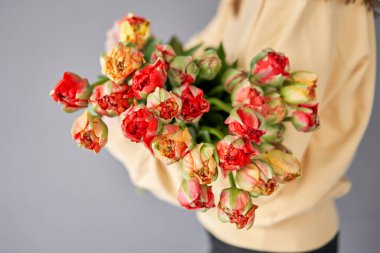 Lale Gudoshnik kadının elinde. Elinde bir buket kırmızı lale. Bir demet taze bahar çiçeği. Yüksek kalite fotoğraf