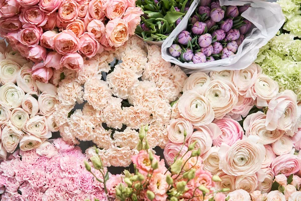 Muchos Colores Diferentes Escaparate Fondo Mezcla Flores Hermosas Flores Para — Foto de Stock