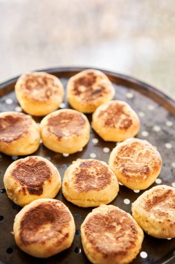 Taze pişmiş cheesecake. Süzme peynirli krep ya da kremalı börek. Sabahları sağlıklı ve diyet kahvaltı. Yüksek kalite fotoğraf