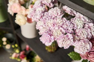 Showcase 'de bir sürü farklı çiçek var. Çiçeklerin karışımı. Katalog ya da çevrimiçi mağaza için güzel çiçekler. Çiçek dükkanı ve teslimat konsepti. Yüksek kalite fotoğraf