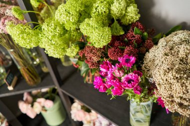 Showcase 'de bir sürü farklı çiçek var. Çiçeklerin karışımı. Katalog ya da çevrimiçi mağaza için güzel çiçekler. Çiçek dükkanı ve teslimat konsepti. Yüksek kalite fotoğraf