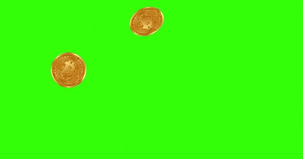 기호를 특징으로하는 금화는 배경에 설정된 개념의 그림을 아래로 캐스캐딩 동전의 — 비디오