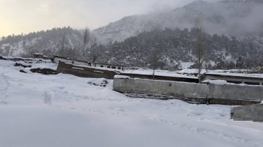Ormanda karla kaplı köknar ağaçları olan yeni yıl için güzel bir arka plan. Ağaçlarla ve kar taneleriyle kış manzarası, büyülü kış ormanı.