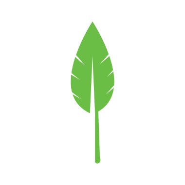 leaf icon vector illustration symbol design