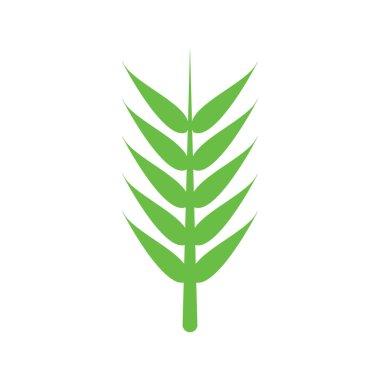 leaf icon vector illustration symbol design