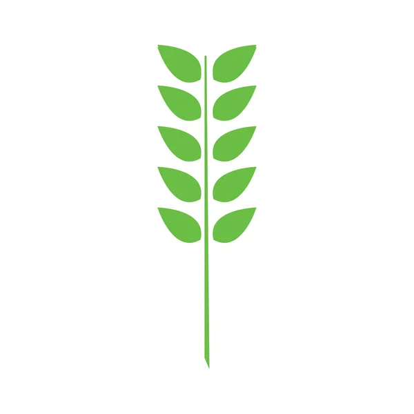 Leaf Icon Vector Illustration Symbol Design — Vetor de Stock