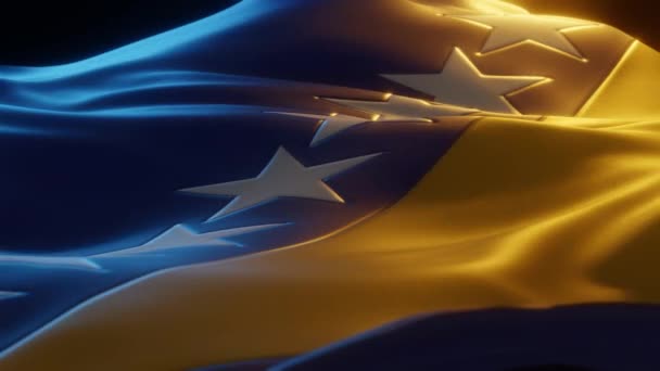 Bosnien Och Hercegovinas Flagga Närbild Med Låg Vinkel Återgivning — Stockvideo