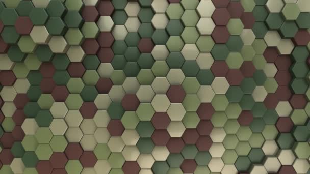 具有伪装色彩的六边形背景军队的军事色彩丛林萨法里野生动植物的颜色 — 图库视频影像