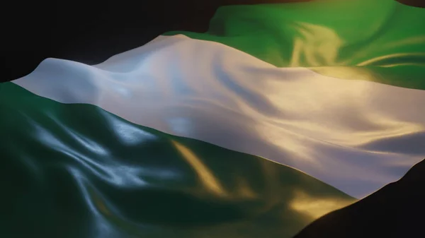 Флаг Нигерии Close Warm Lighting Black Background Render — стоковое фото