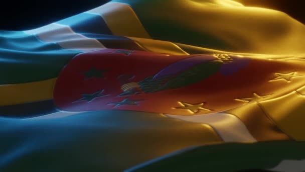Dominica Flag Close Low Side Angle Warm Atmospheric Lighting Render — Stockvideo