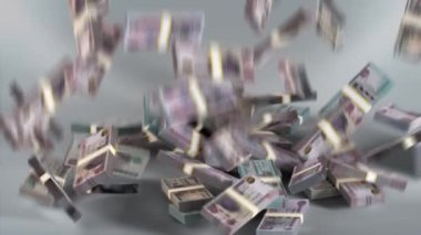 Egypt Banknotes Money Bundles Falling / Egyptian pound / Currency , E, L.E. / EGP
