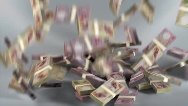 Bhutan Banknotes Money Bundles Falling Bhutan Ngultrum Currency Btn — стокове відео
