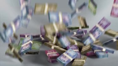 Sri Lanka Banknotes Money / Sri Lankan rupee / Currency  ,  / LKR Bundles Falling