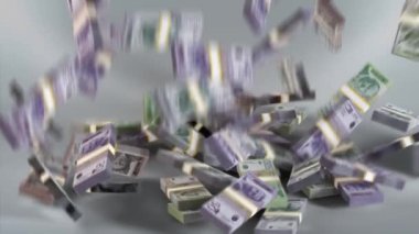 Sırbistan Banknotları / Sırp Parası / Dinarı / RSD / din Paketleri Düşüyor
