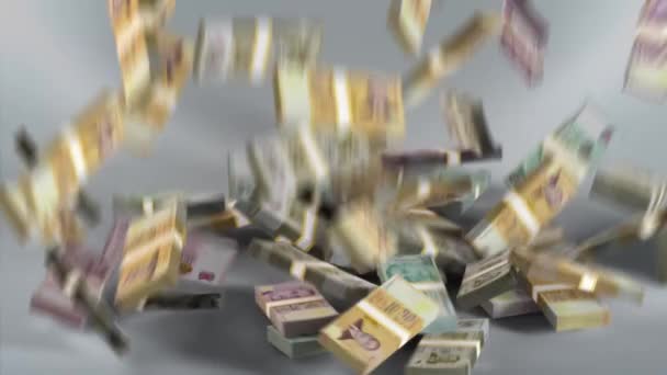 Банкноты Сингапура Деньги Сингапурский Доллар Валюта Sgd Падение — стоковое видео