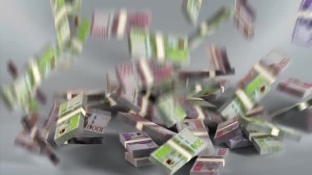Sweden Banknotes Swedish Money Krona Sek Bundles Falling — 图库视频影像