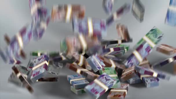 Trinidad Tobago Notas Dinheiro Dólar Moeda Ttd Pacotes Queda — Vídeo de Stock
