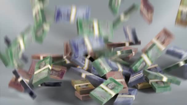 Venezuela Moneda Bolívar Venezolano Billetes Ves Ved Paquetes Dinero Fallingbolvar — Vídeos de Stock