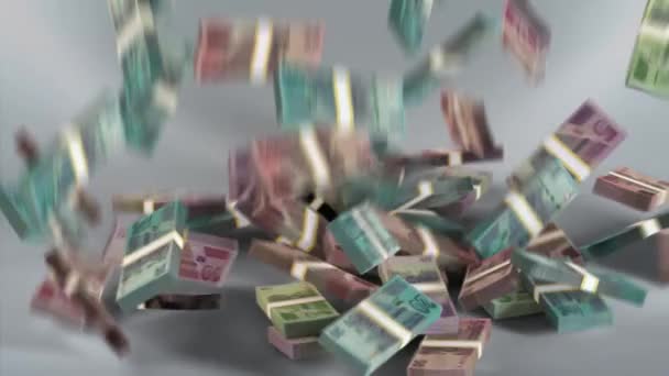 Zimbabwe Banknotes Money Zimbabwean Dollar Currency Zwl Rtgs Bundles Falling — Vídeos de Stock