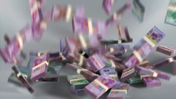 Tom Principe Banknotes Money Dobra Currency Stn Bundles Falling — 图库视频影像