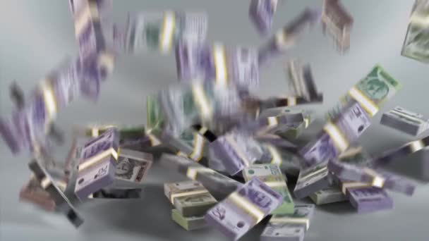 Serbia Banknotes Serbian Money Dinar Rsd Din Bundles Falling — 图库视频影像
