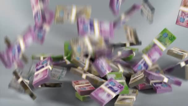 Seychelles Banknotes Money Seychellois Rupee Currency Scr Bundles Falling — Vídeos de Stock