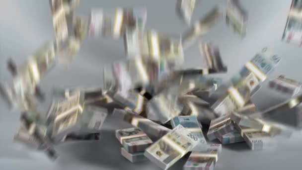 Poland Banknotes Polish Money Zloty Pln Bundles Falling — Vídeo de Stock