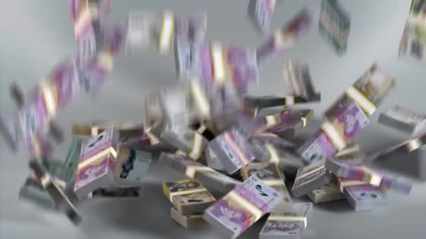 Romania Banknotes Romanian Money Leu Ron Bundles Falling — Vídeos de Stock