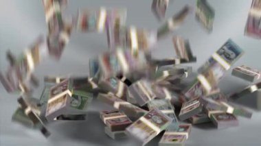 Mauritius Banknotes Para / Mauritian Rupisi / Para Birimi / MUR Paketleri Düşüyor