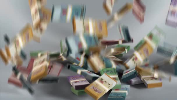 Malezya Banknotları Para Malezya Ringgit Para Birimi Myr Paketleri Düşüyor — Stok video