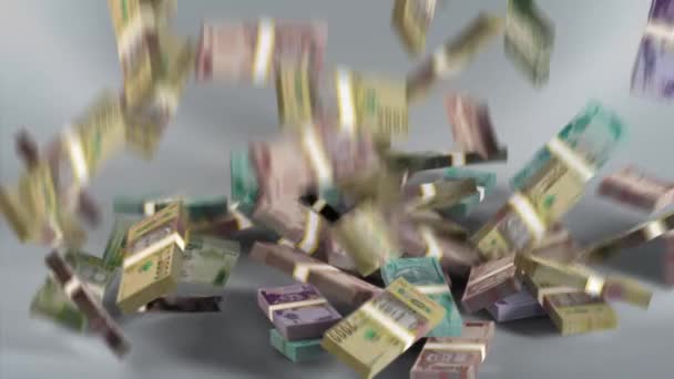 Malawi Banknotes Money Malawian Kwacha Currency Mwk Bundles Falling — Wideo stockowe