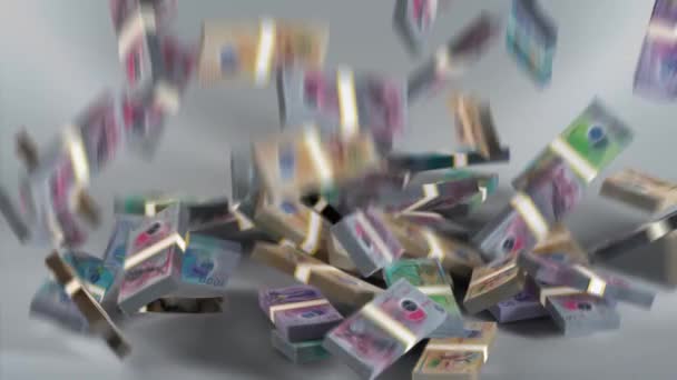 Maldives Banknotes Money Maldivian Rufiyaa Currency Mvr — Stock Video