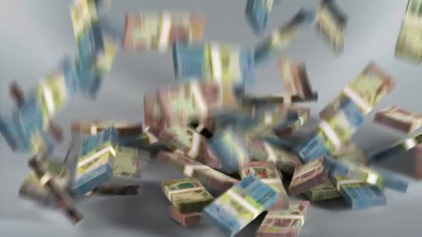 Madagascar Banknotes Money Malagasy Ariary Currency Mga Bundles Falling — Stockvideo