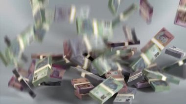 Nigeria Banknotes Money / Nigerian naira / Currency  / NGN Bundles Falling