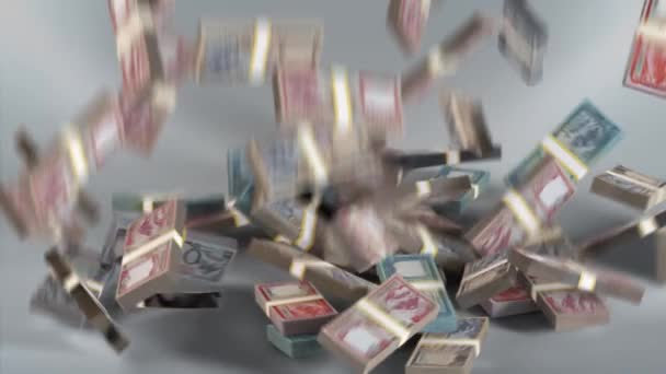 Banconote Nepal Denaro Rupia Nepalese Valuta Npr Bundles Falling — Video Stock