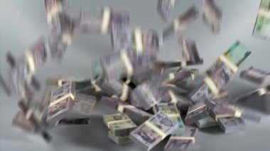 Honduras Banknotları Para / Honduras lempirası / Para Birimi L / HNL Paketleri Düşüyor