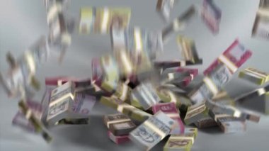 Macaristan Banknotları / Macaristan parası / Forint / HUF / Ft 6 deste düşüyor