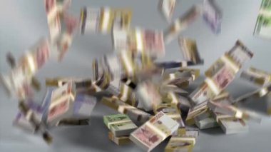 Güney Kore Banknotları Para / Güney Kore won / Para Birimi / KRW Düşüşü