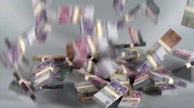 Eswatini Money - Lilangeni Yığılan Para - Swazi Para Birimi