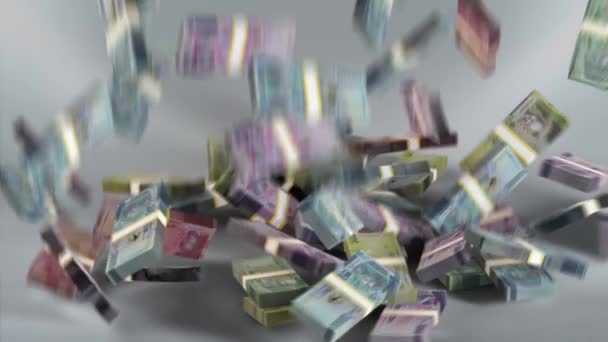 Billetes Guinea Dinero Franco Guineano Moneda Paquetes Gnf Caída — Vídeos de Stock