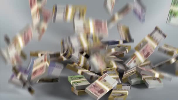 Zuid Korea Bankbiljetten Geld Zuid Koreaans Gewonnen Valuta Krw Valpartij — Stockvideo
