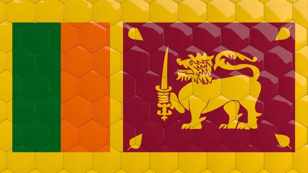 Resumen Sri Lanka Bandera Hexágono Fondo Sri Lanka Bandera Panal — Foto de Stock