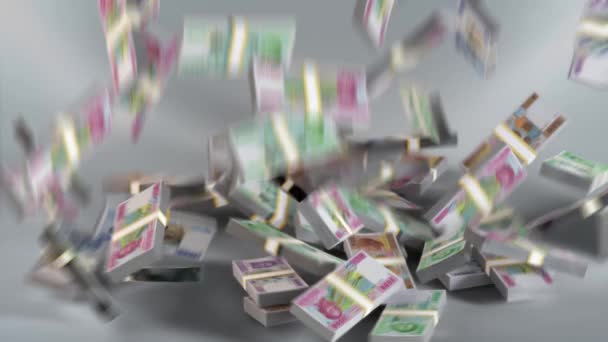Estados África Central Notas Dinheiro Franco Cfa Moeda Fcfa Xaf — Vídeo de Stock