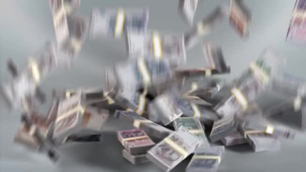Hırvatistan Banknotları Para Hırvat Kuna Para Birimi Hrk — Stok video
