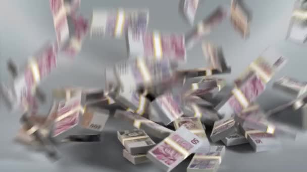 Çek Cumhuriyeti Banknotları Para Çek Korunası Para Birimi Czk — Stok video