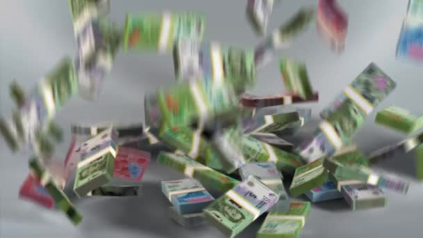 アルゼンチンマネー ペソスタックお金の落下 アルゼンチン通貨 3Dレンダリング — ストック動画