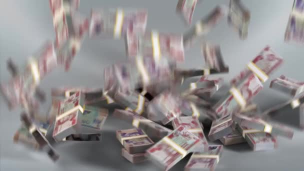 Billetes Belice Dinero Dólar Belice Moneda Bzd — Vídeos de Stock